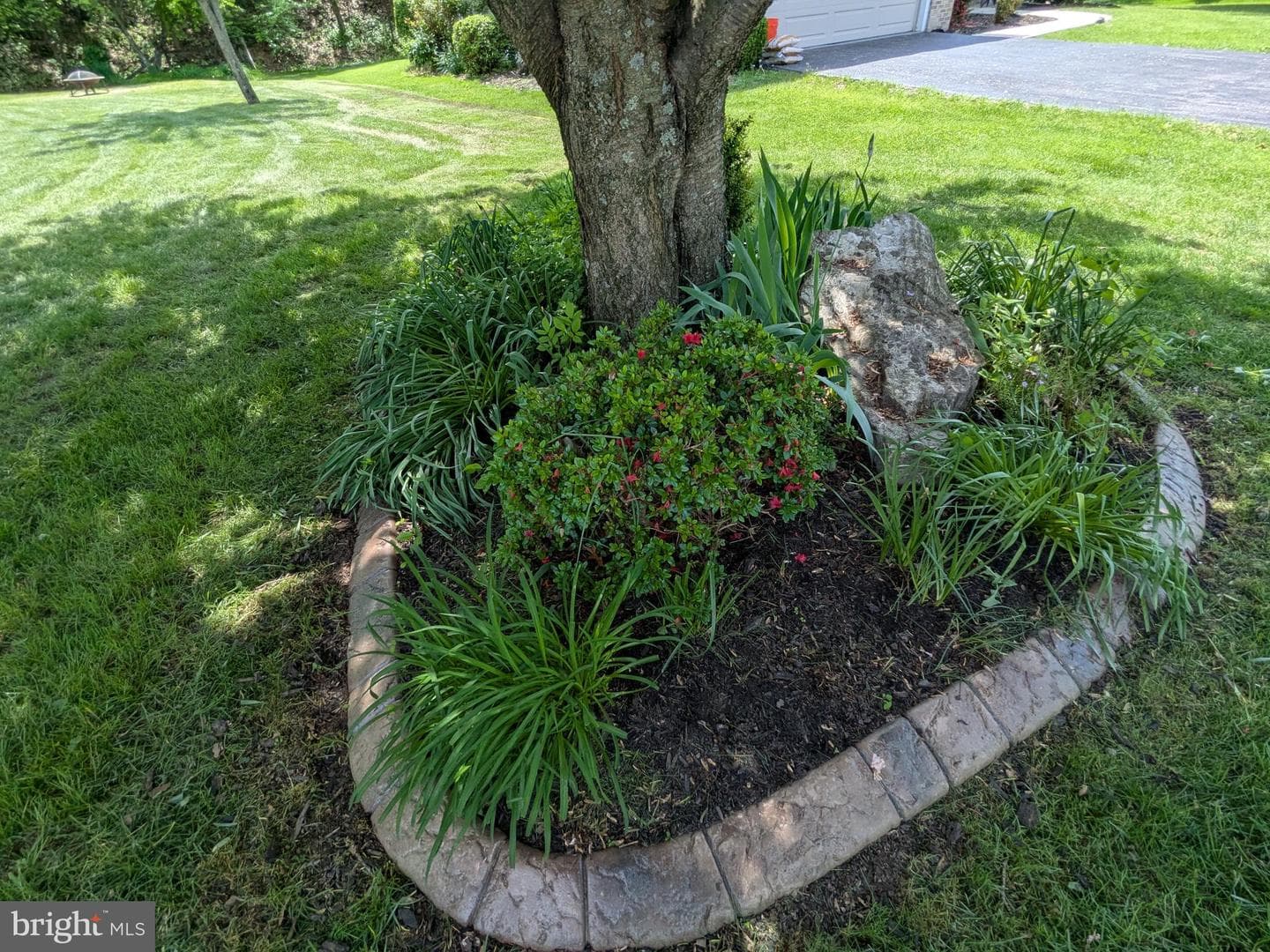 2308 Cypress Drive photo 53