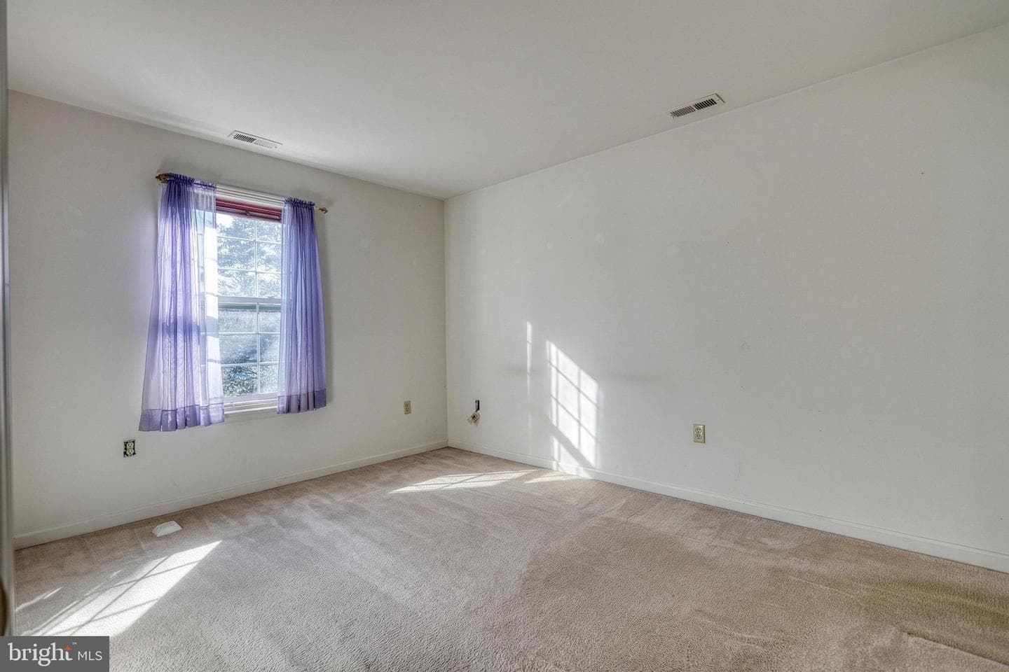 213 Market Street photo 22