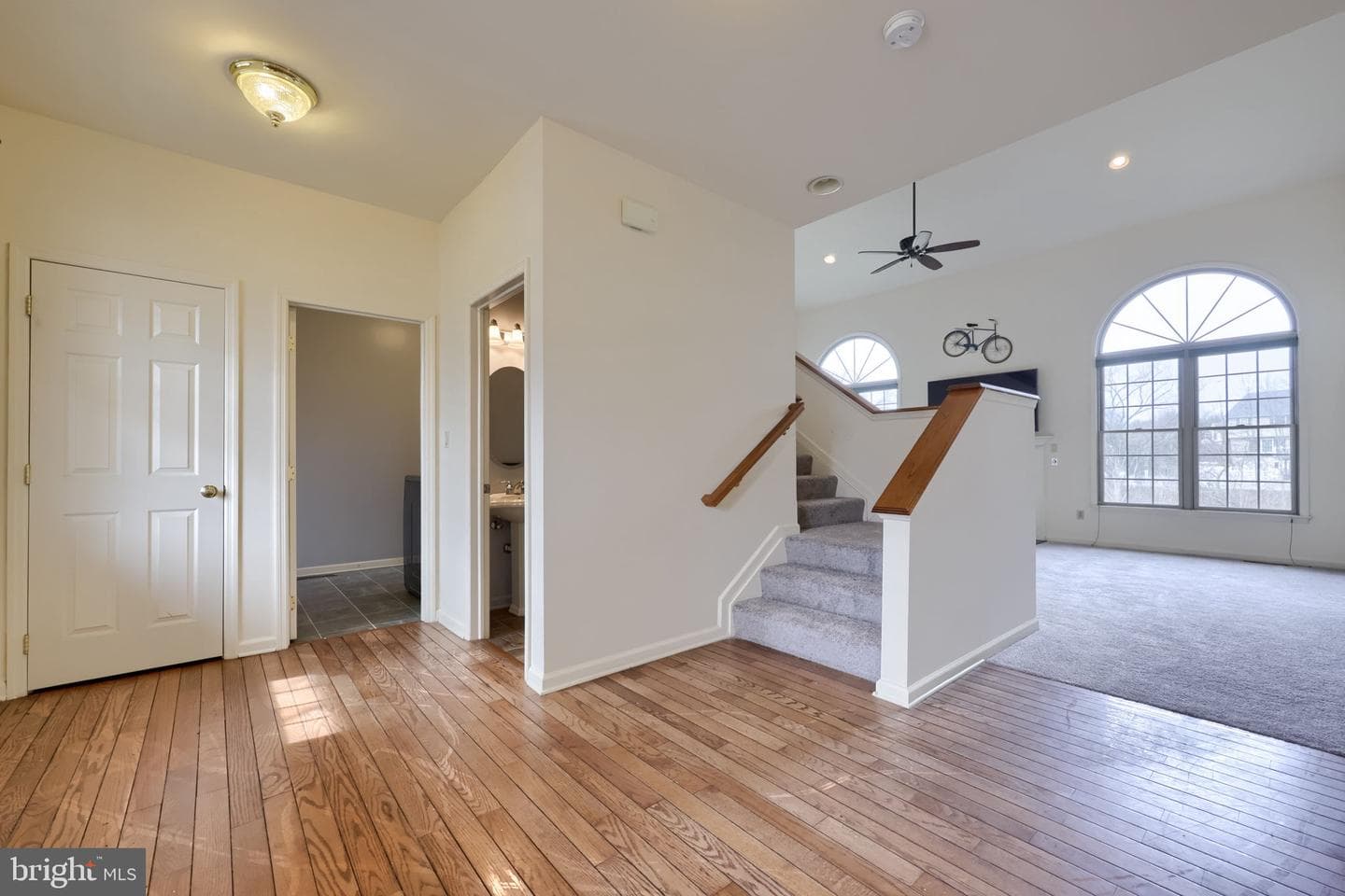 6502 Alfano Drive photo 7