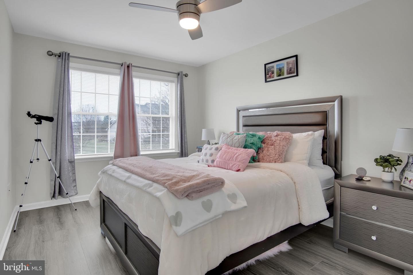 494 Quiggley Circle photo 20