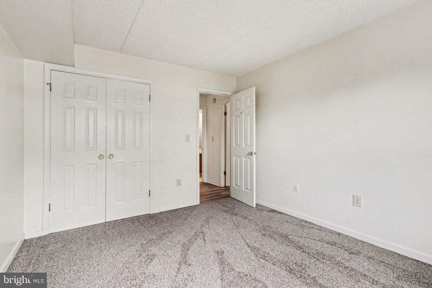 1210 E Hampton Hill Court photo 17