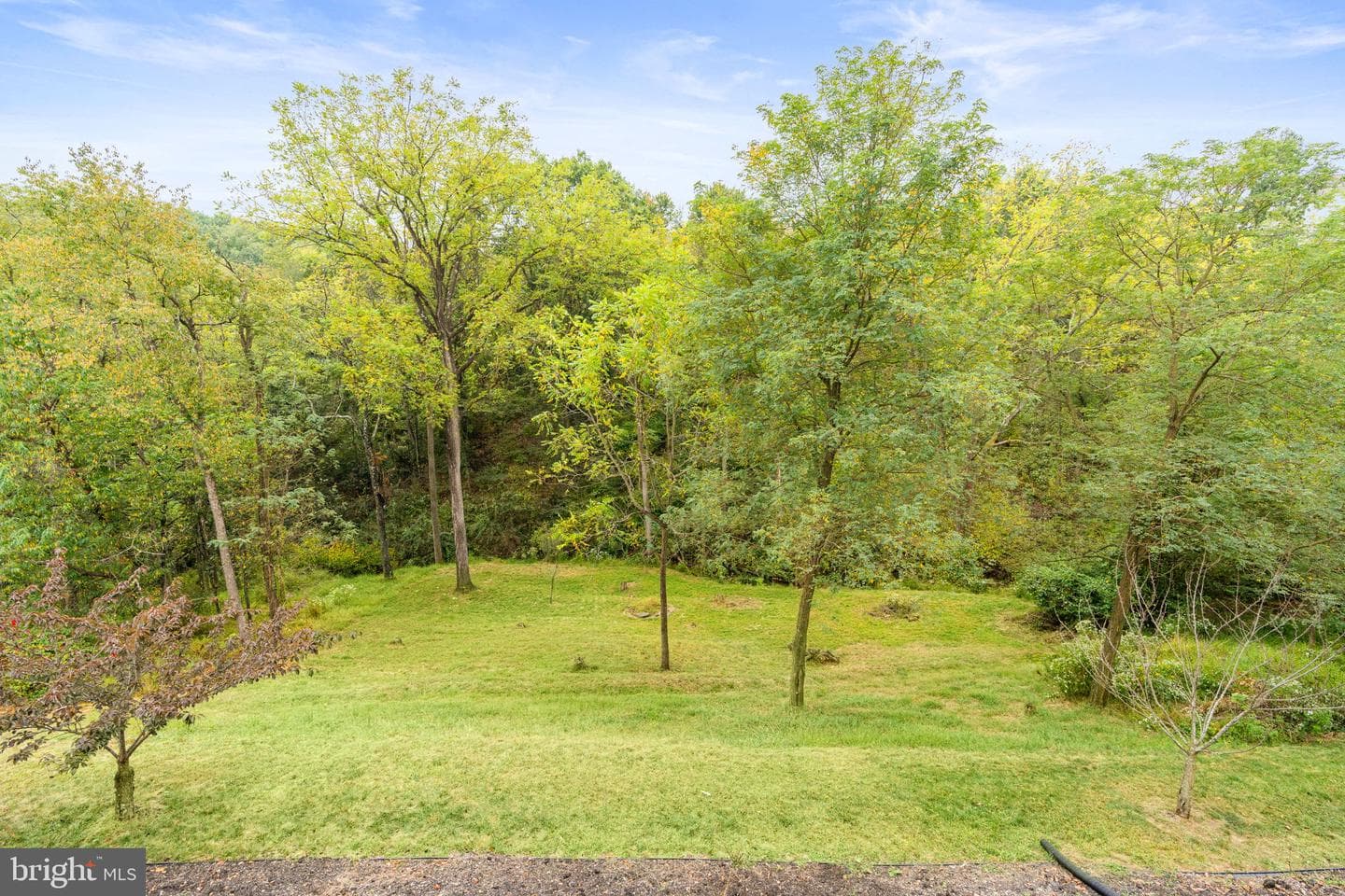 7041 Woodsman Drive photo 62