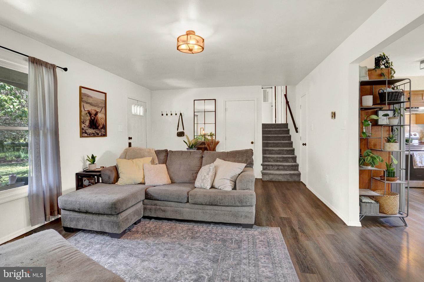 133 Ronnie Lane photo 10