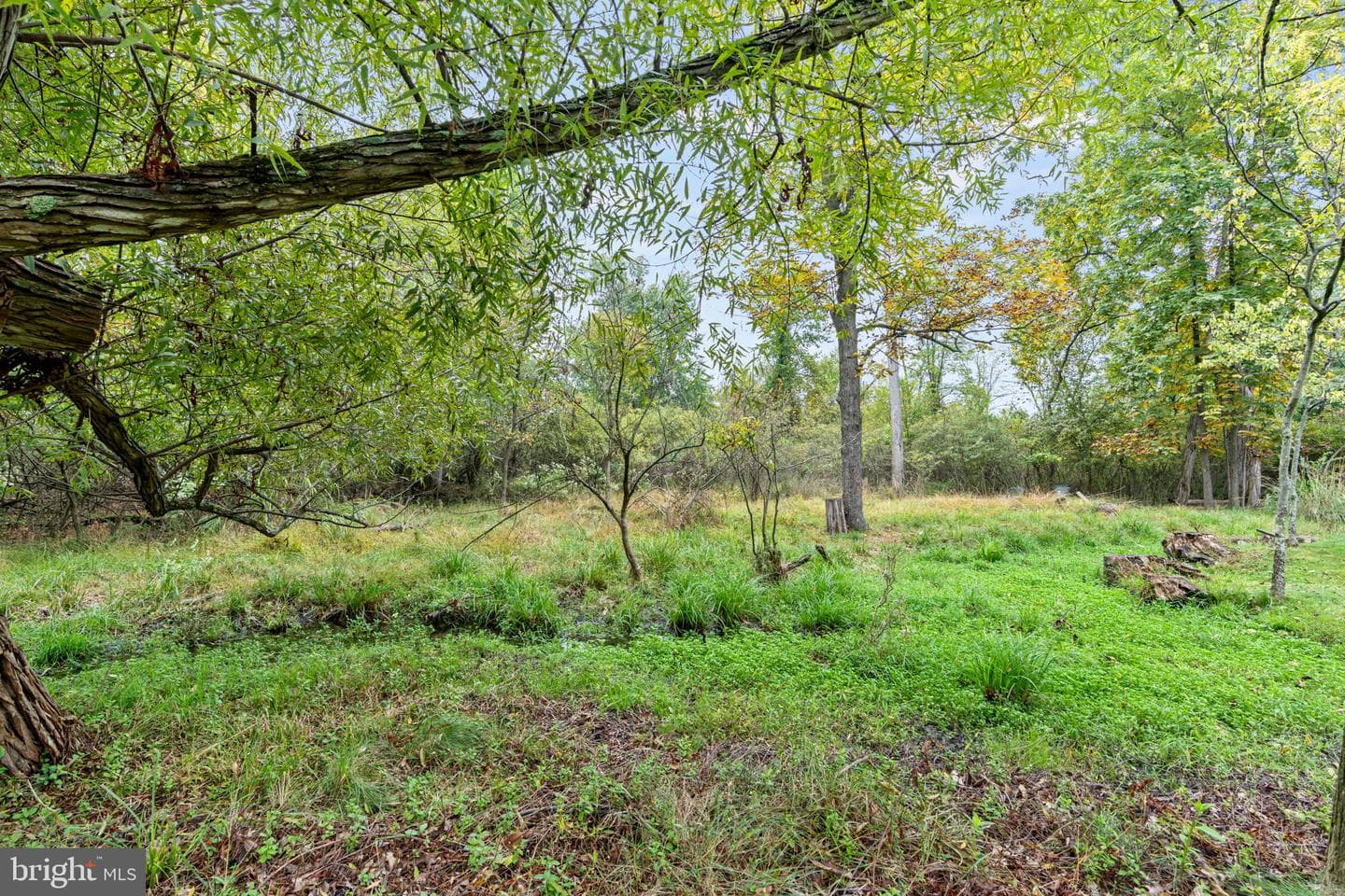 2309 Forest Lane photo 59