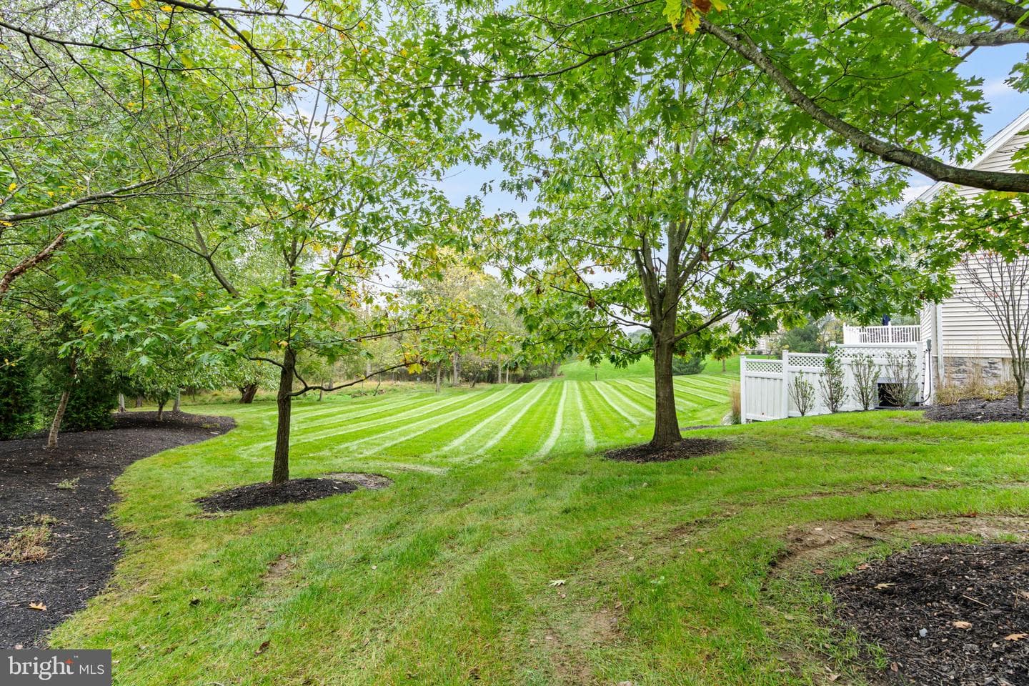 2309 Forest Lane photo 60