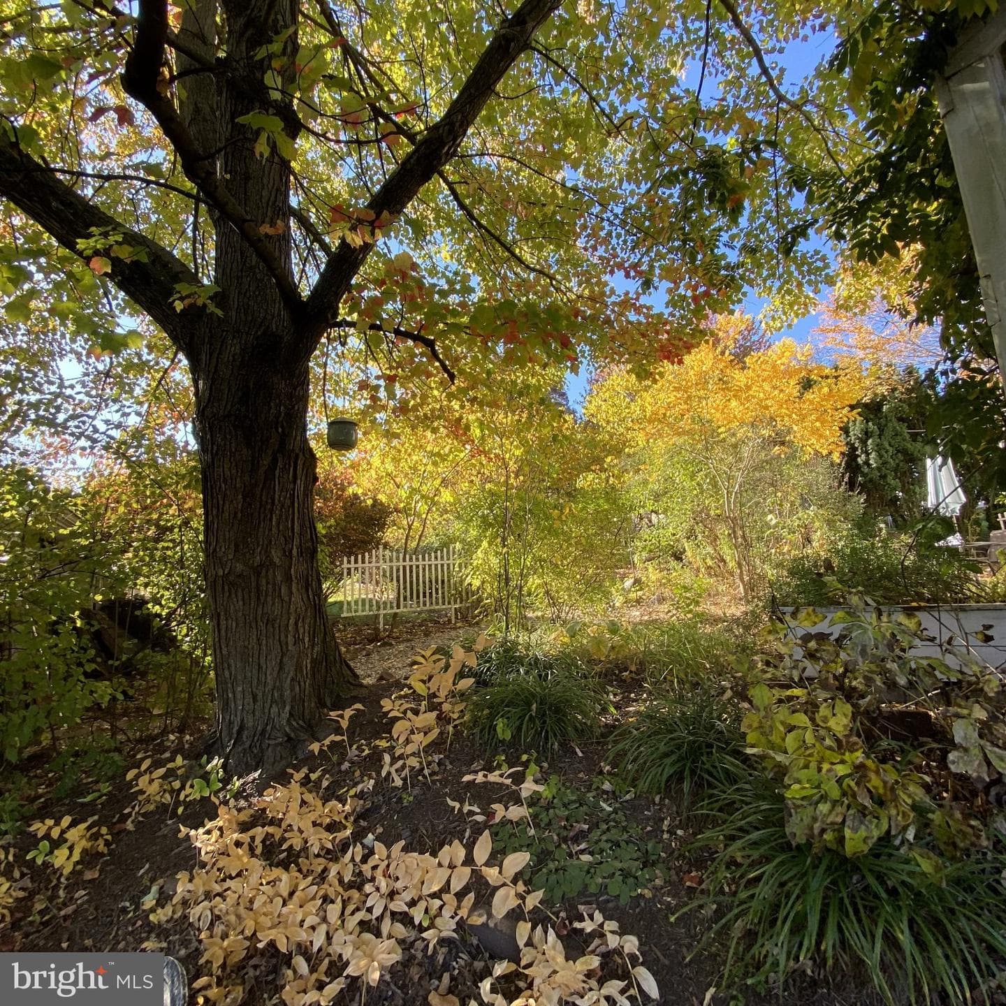 872 Waltonville Road photo 44