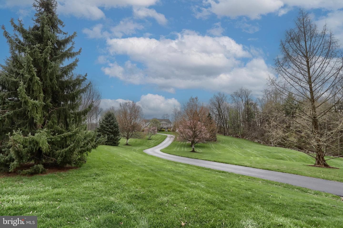 6516 Schoolhouse Road photo 16