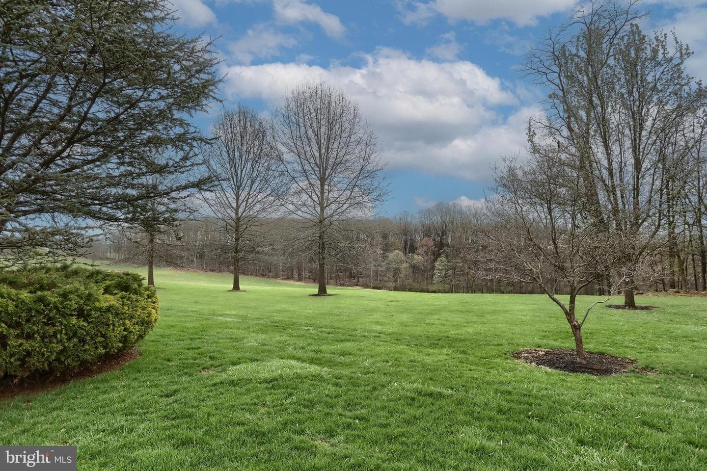 6516 Schoolhouse Road photo 20