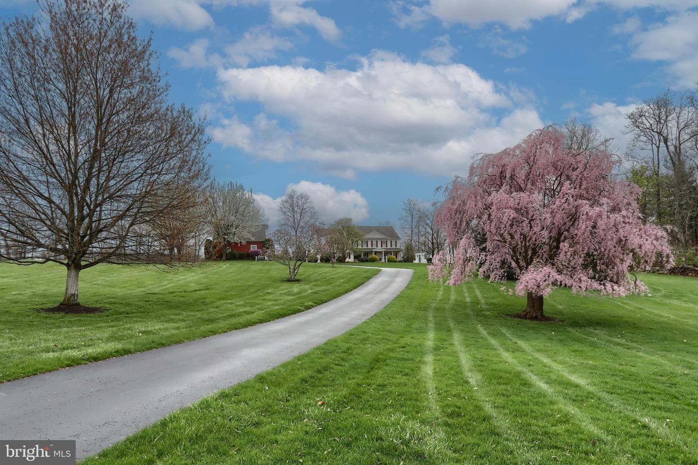 6516 Schoolhouse Road photo 7