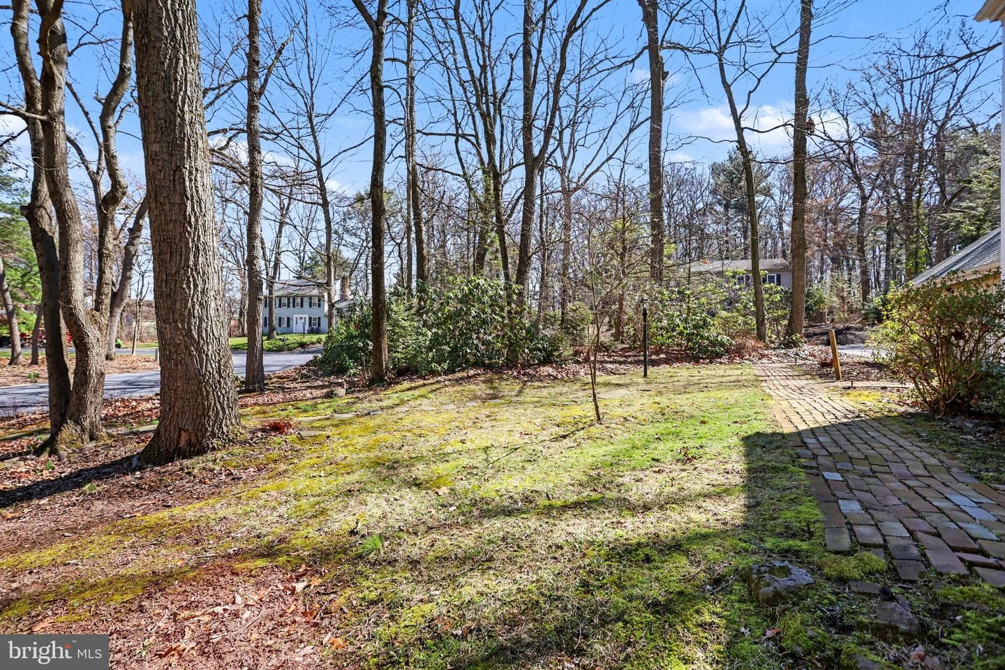 10 Dogwood Drive photo 35