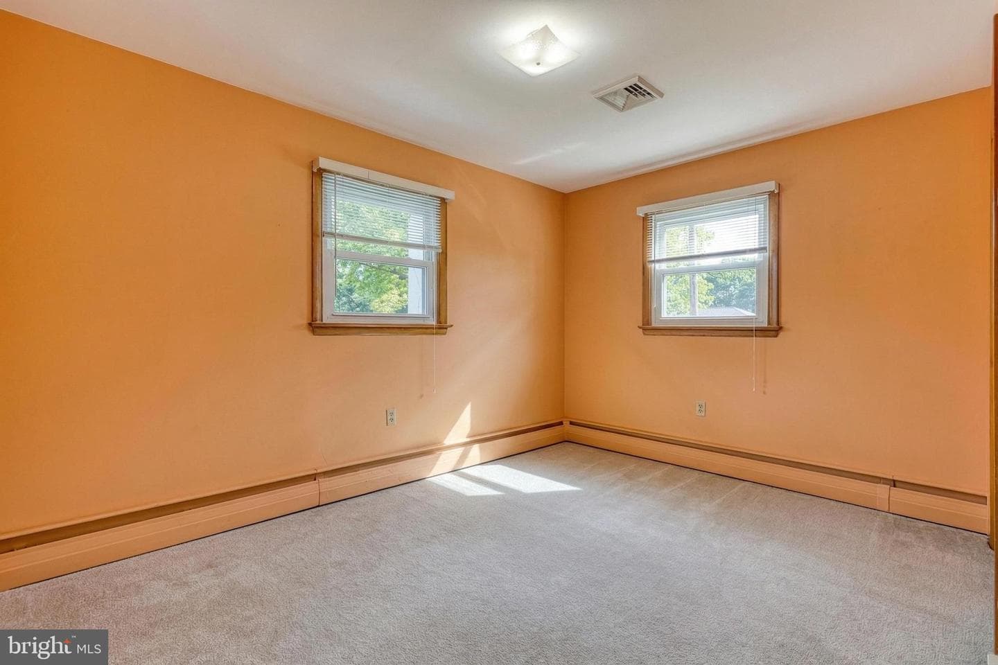 6336 Blue Flag Avenue photo 23