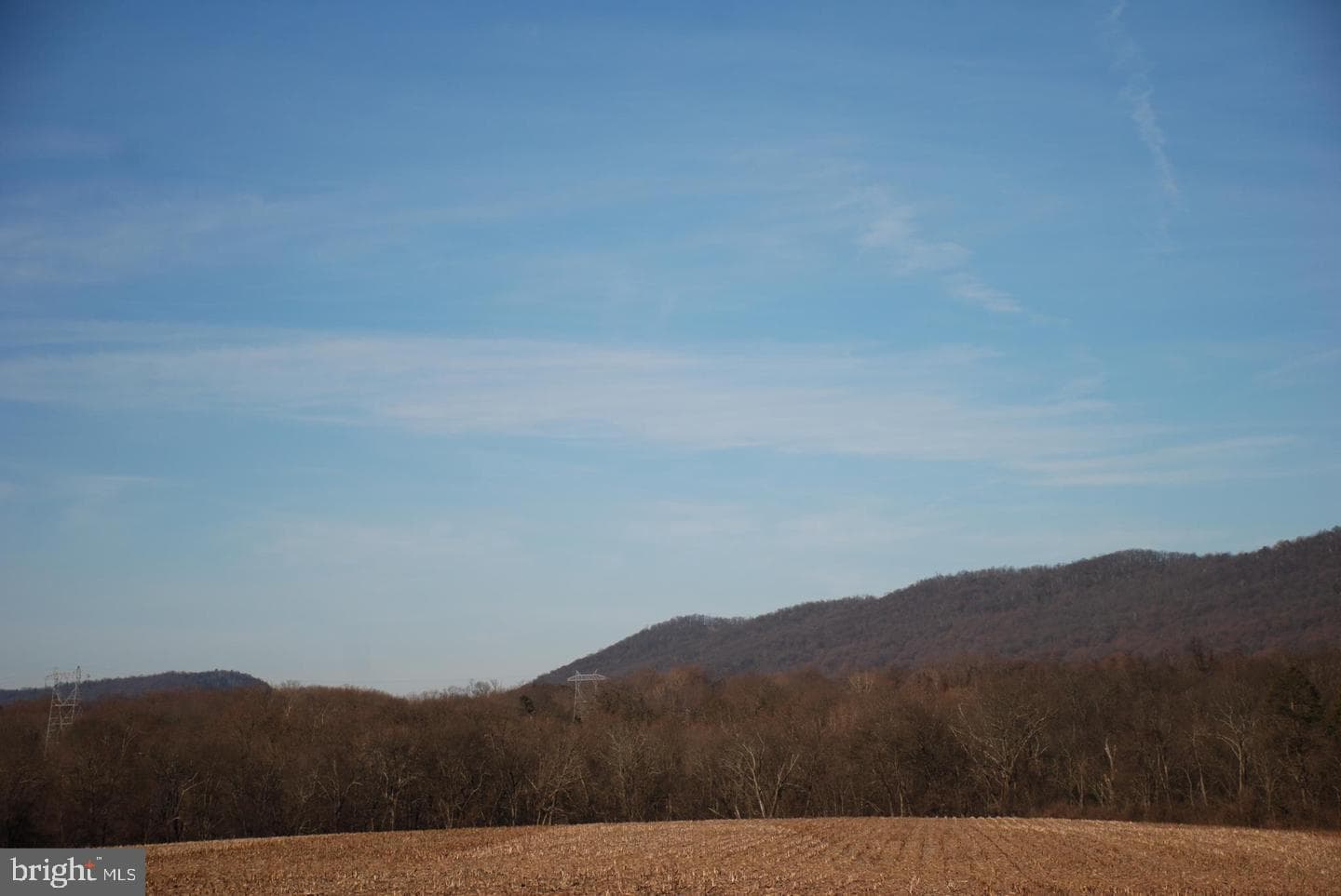 271 Speece Lane photo 22