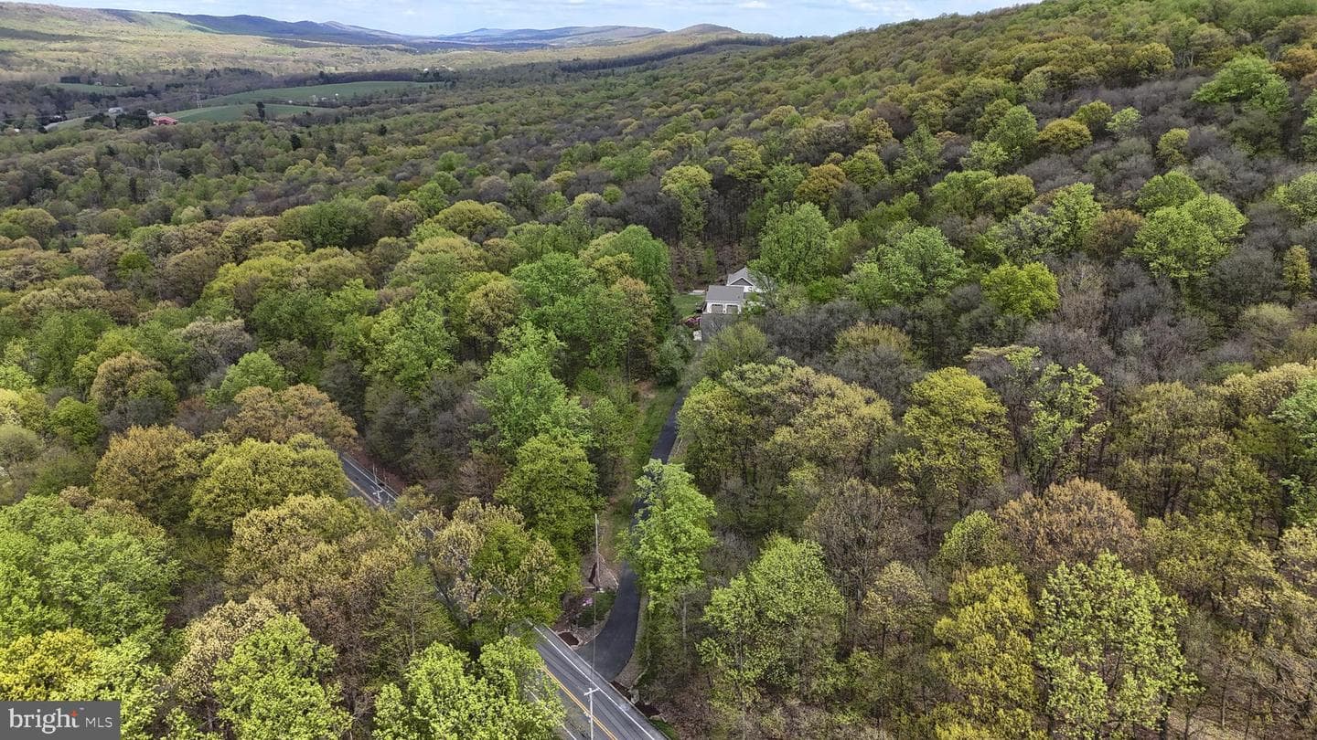 586 Blue Mountain Parkway photo 59