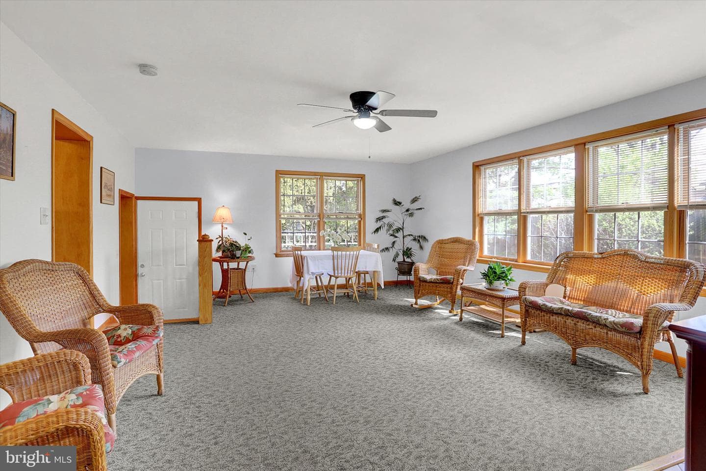 124 Levan Street photo 15