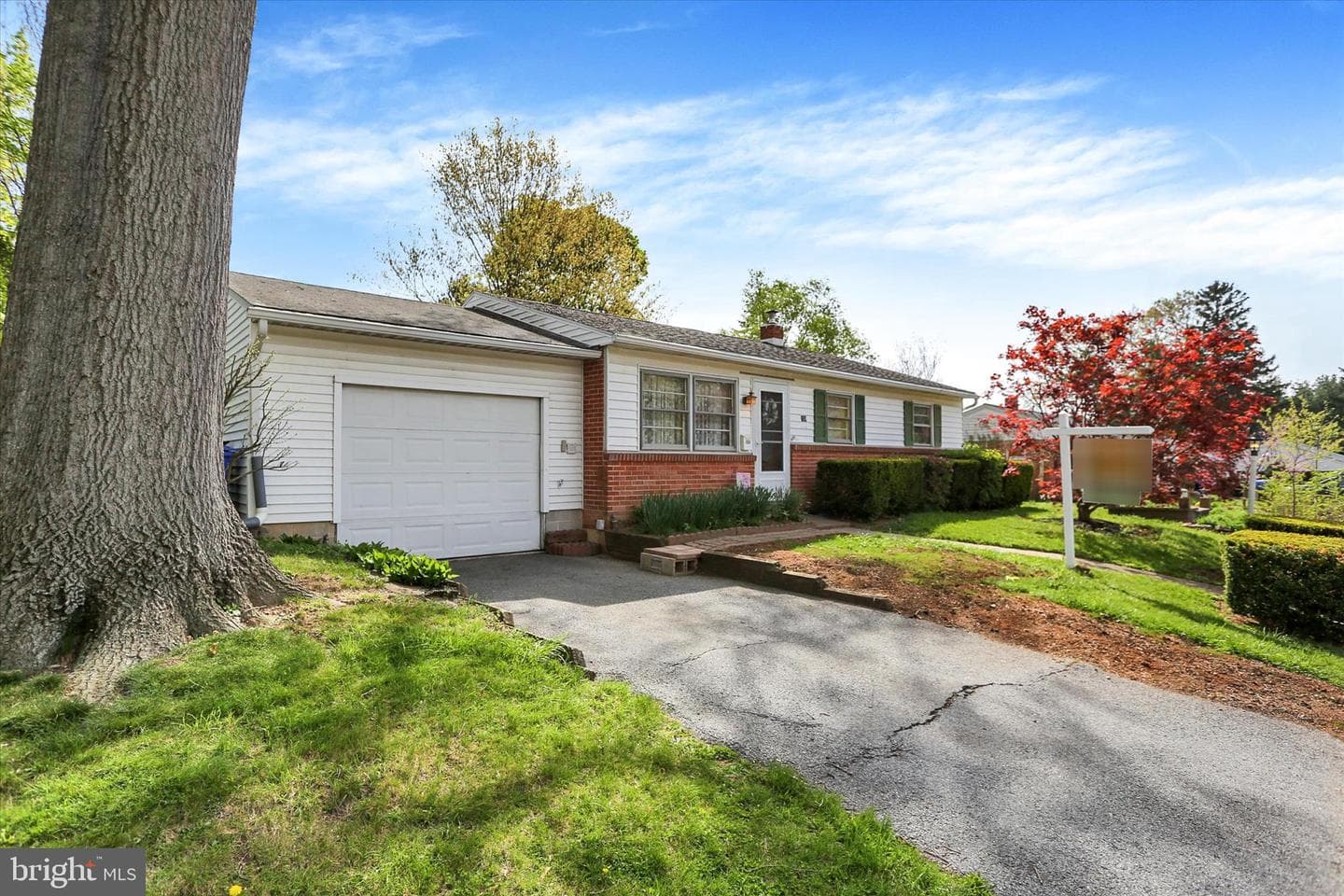 124 Levan Street photo 3
