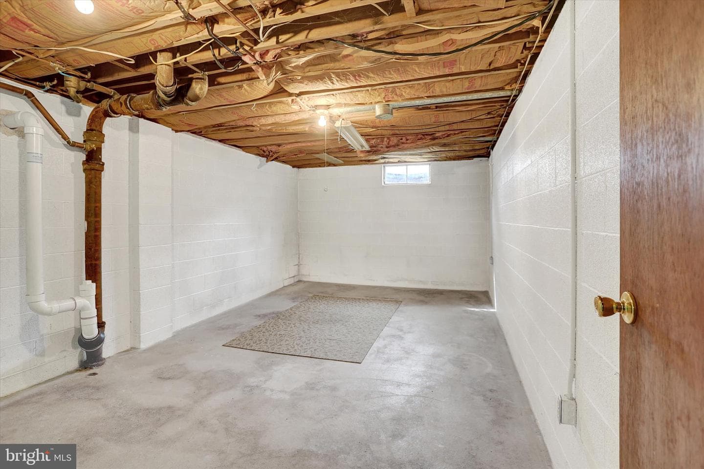 124 Levan Street photo 32