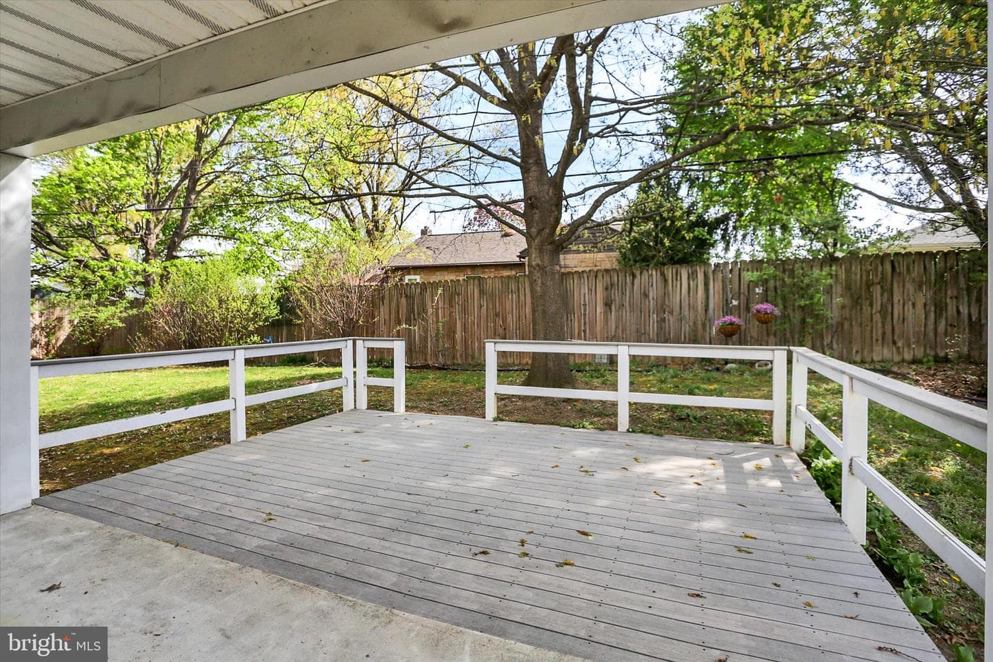 124 Levan Street photo 36
