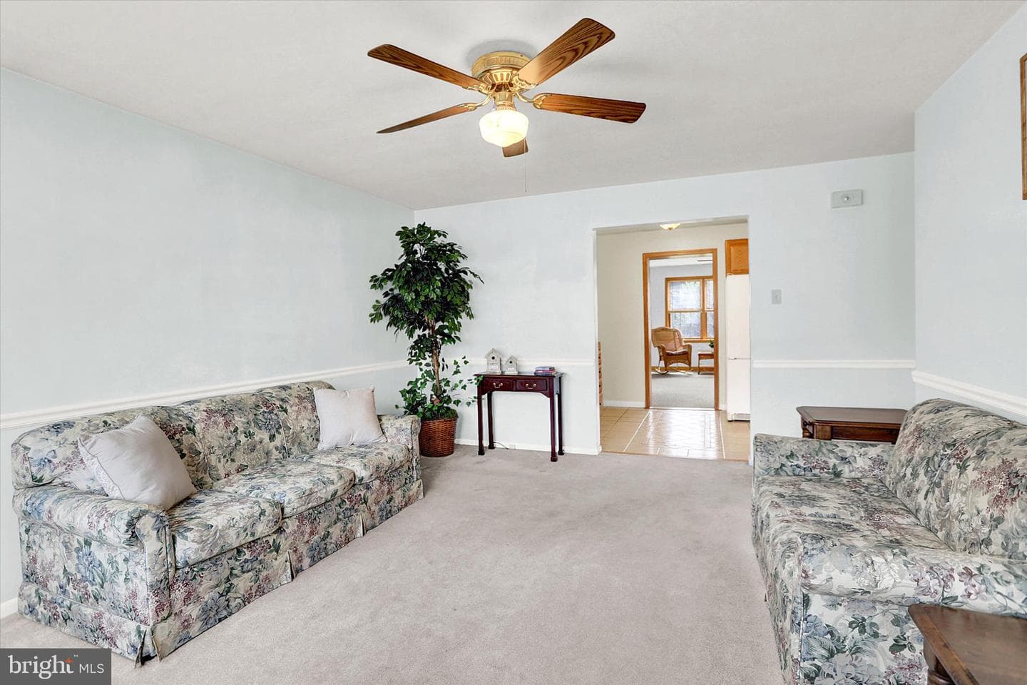 124 Levan Street photo 7
