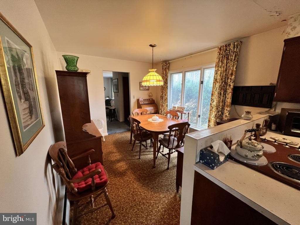 977 Locust Grove Road photo 21