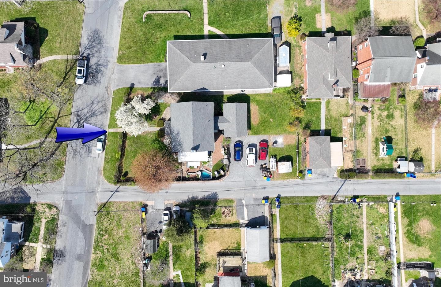 7 Oakleigh Avenue photo 20