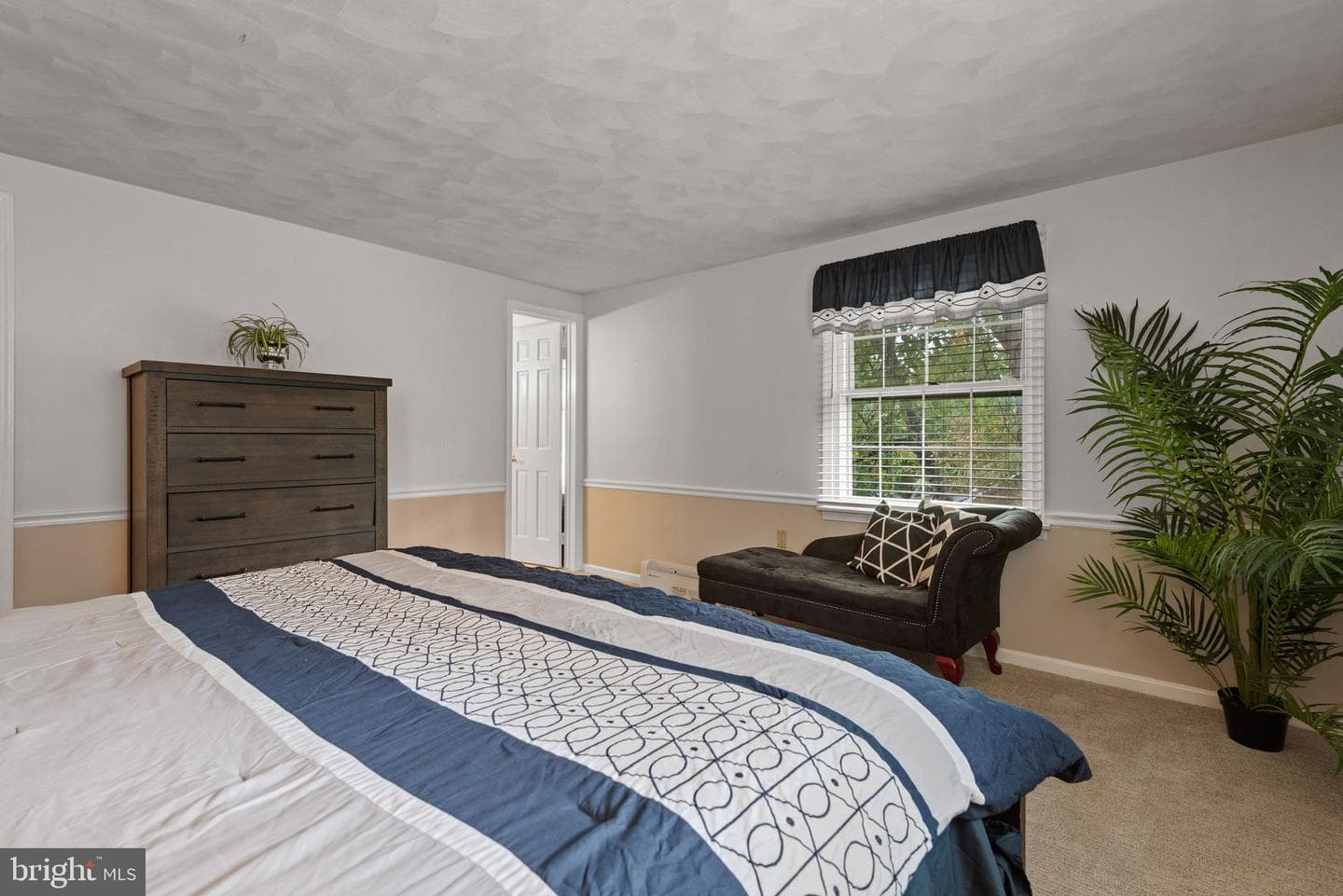 125 Bailey Street photo 43