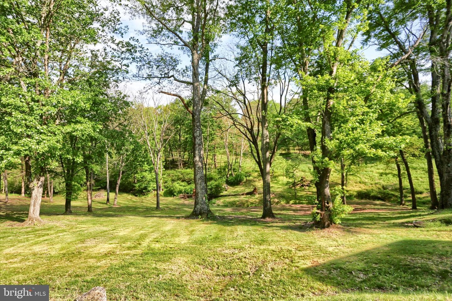 1401 La Carr Lane photo 38