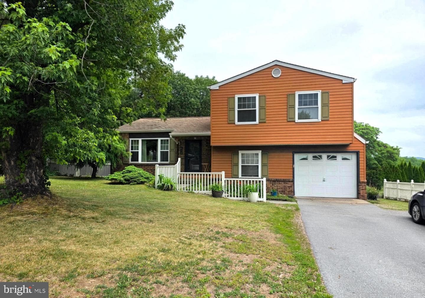 826 Lark Drive photo 4