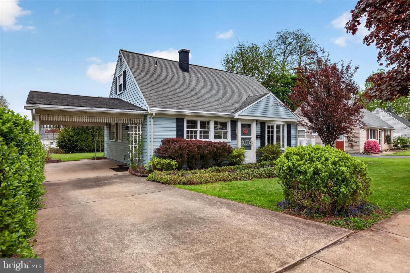 1036 Spruce Street photo 4