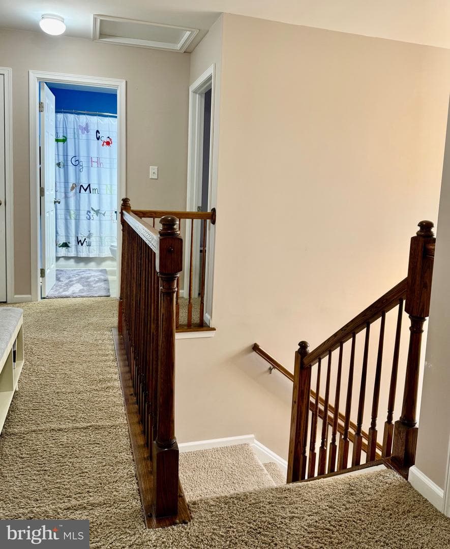 1813 Silverleaf Lane photo 38