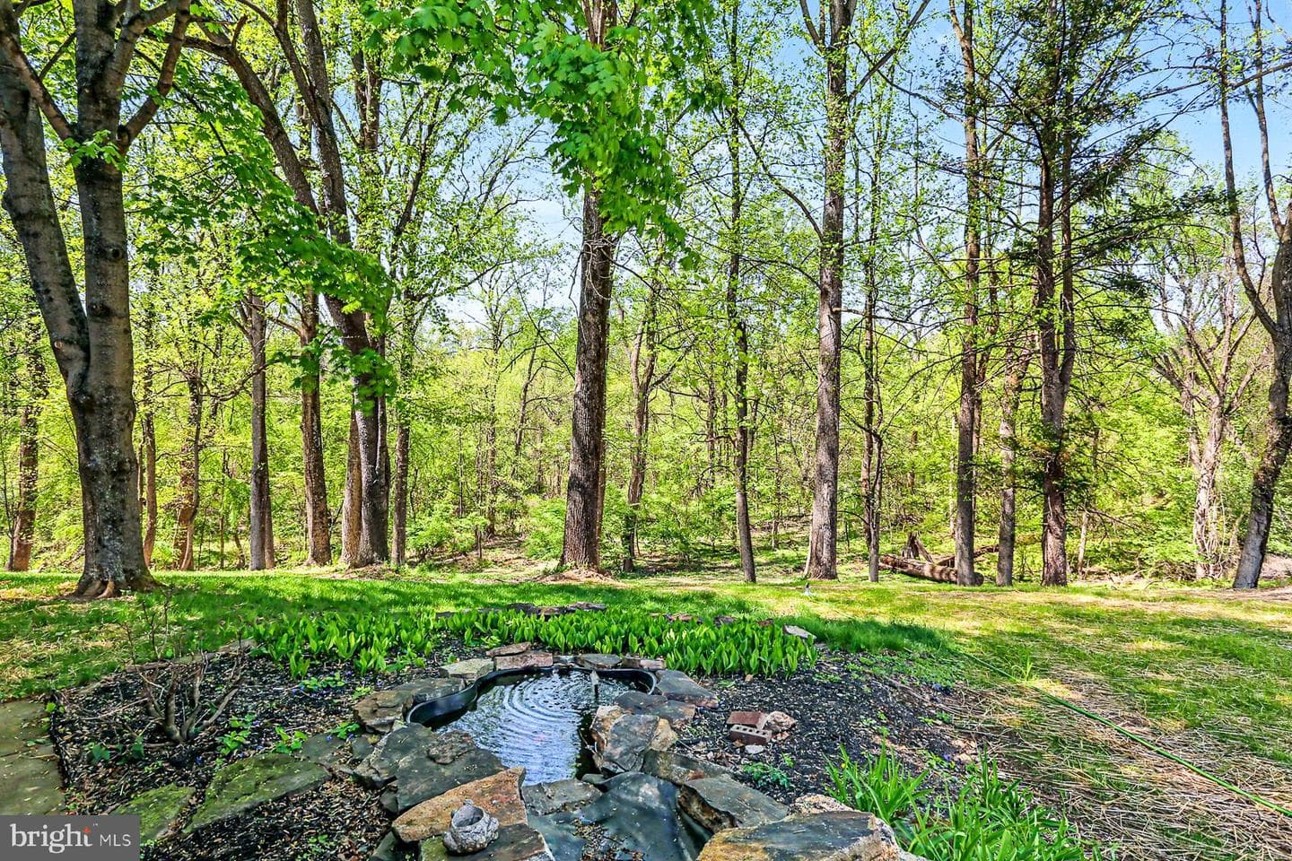 5900 Ivy Lane photo 38