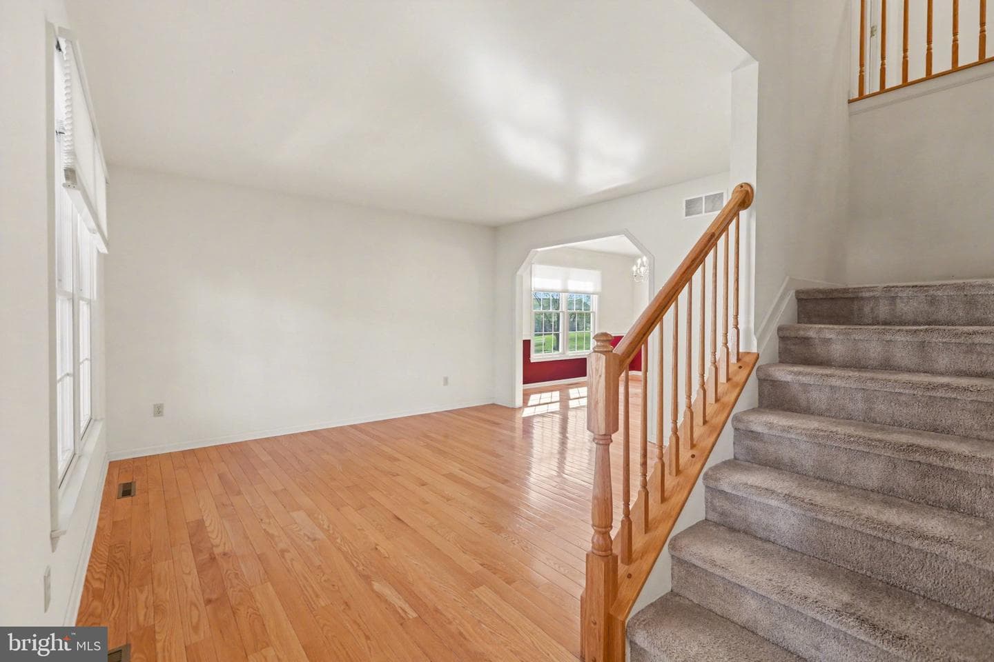 6505 Alfano Drive photo 6