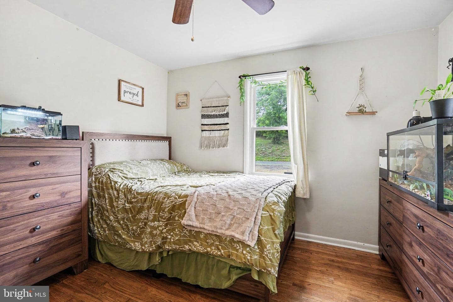 4411 Derry Street photo 8