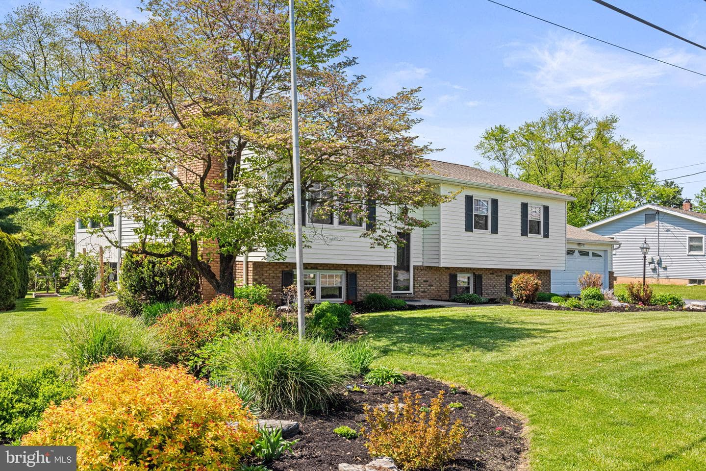 667 Locust Street photo 2