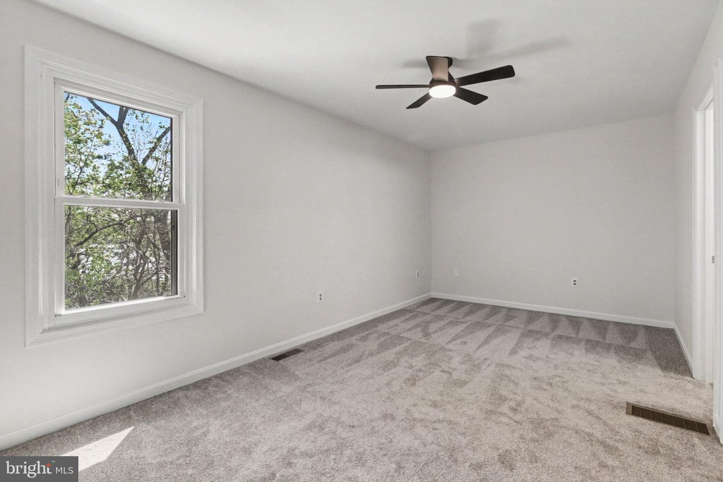 101 Chartwood Dr photo 11