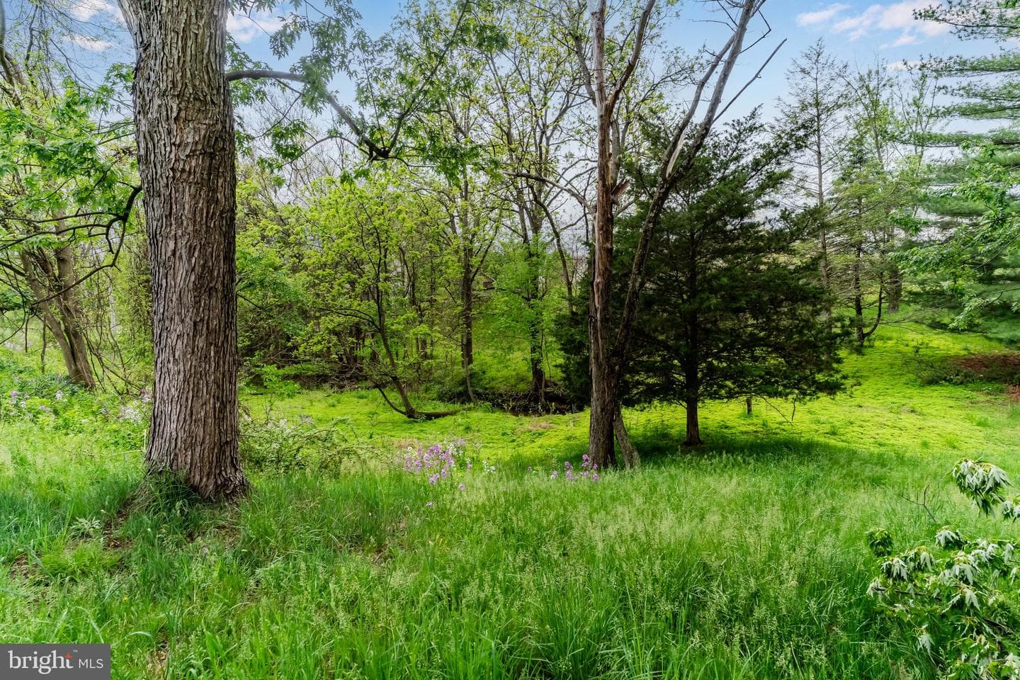 2228 Kohn Road photo 3