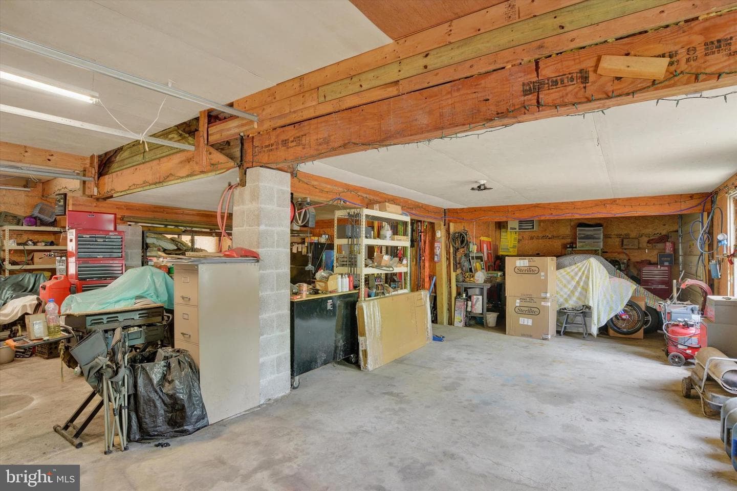 239 Hill Street photo 21
