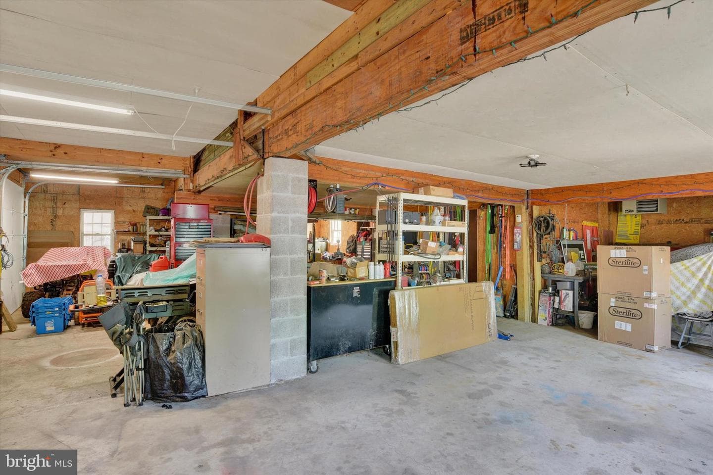 239 Hill Street photo 22