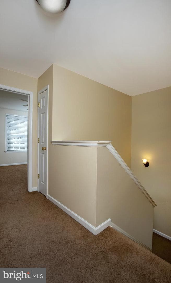 135 Mapleton Boulevard photo 20