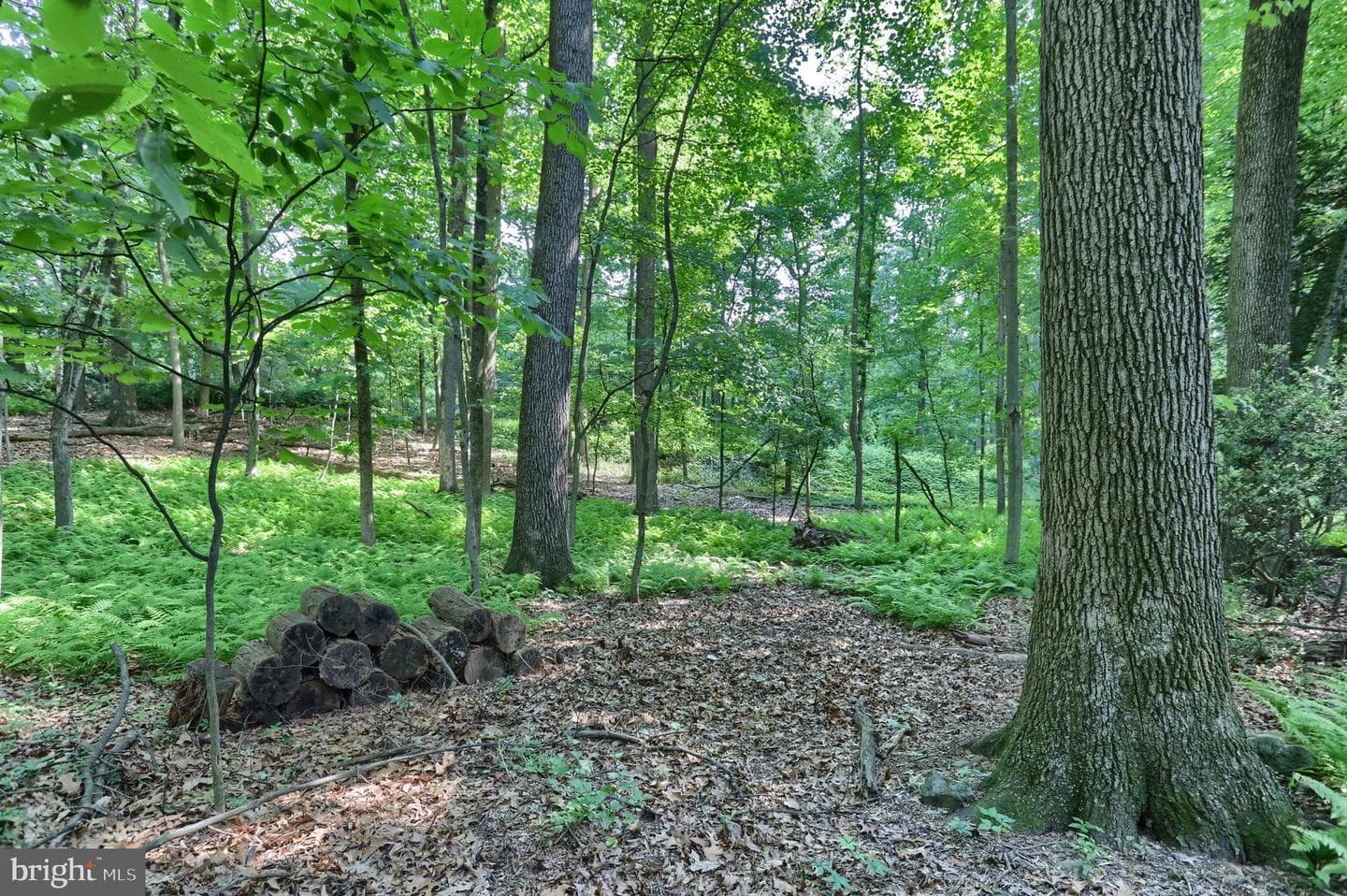 36 Brownstone Drive photo 10