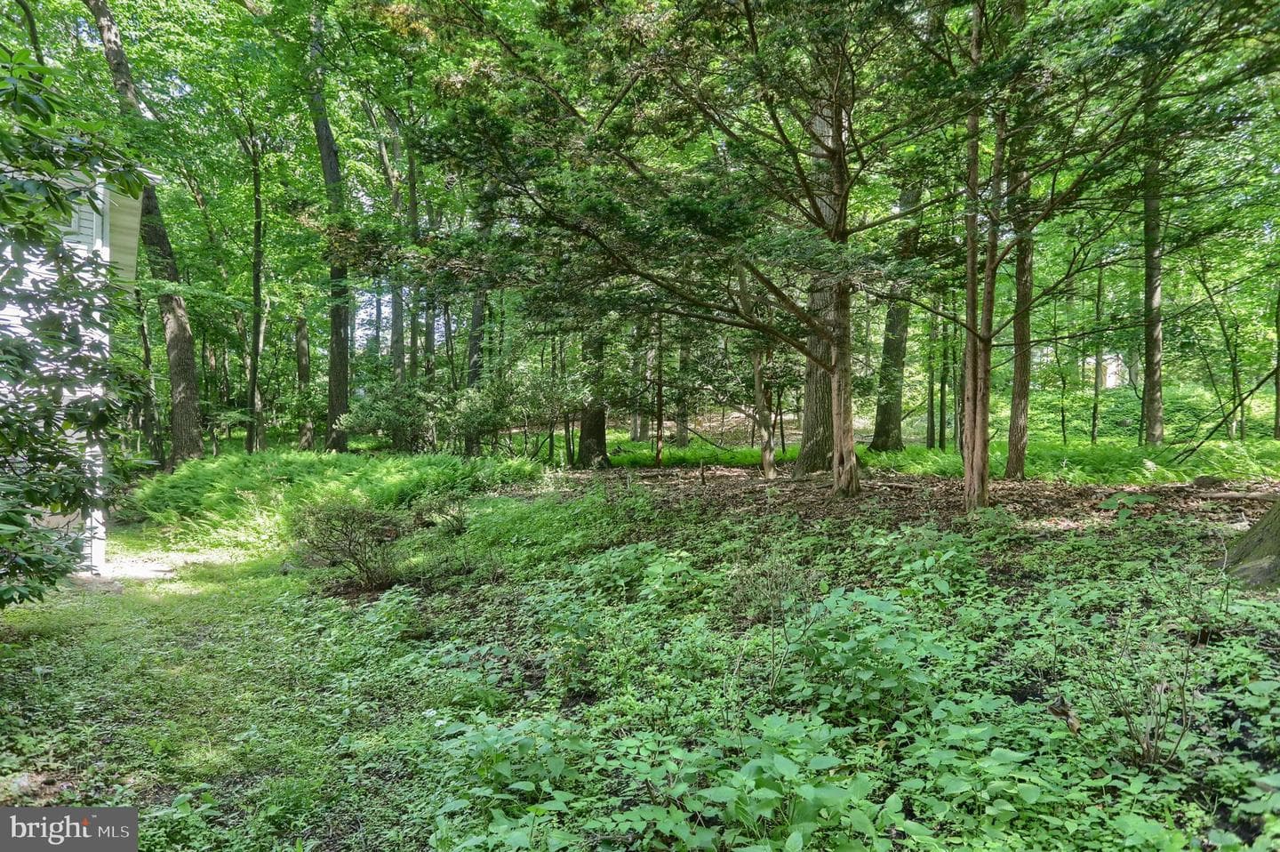 36 Brownstone Drive photo 11