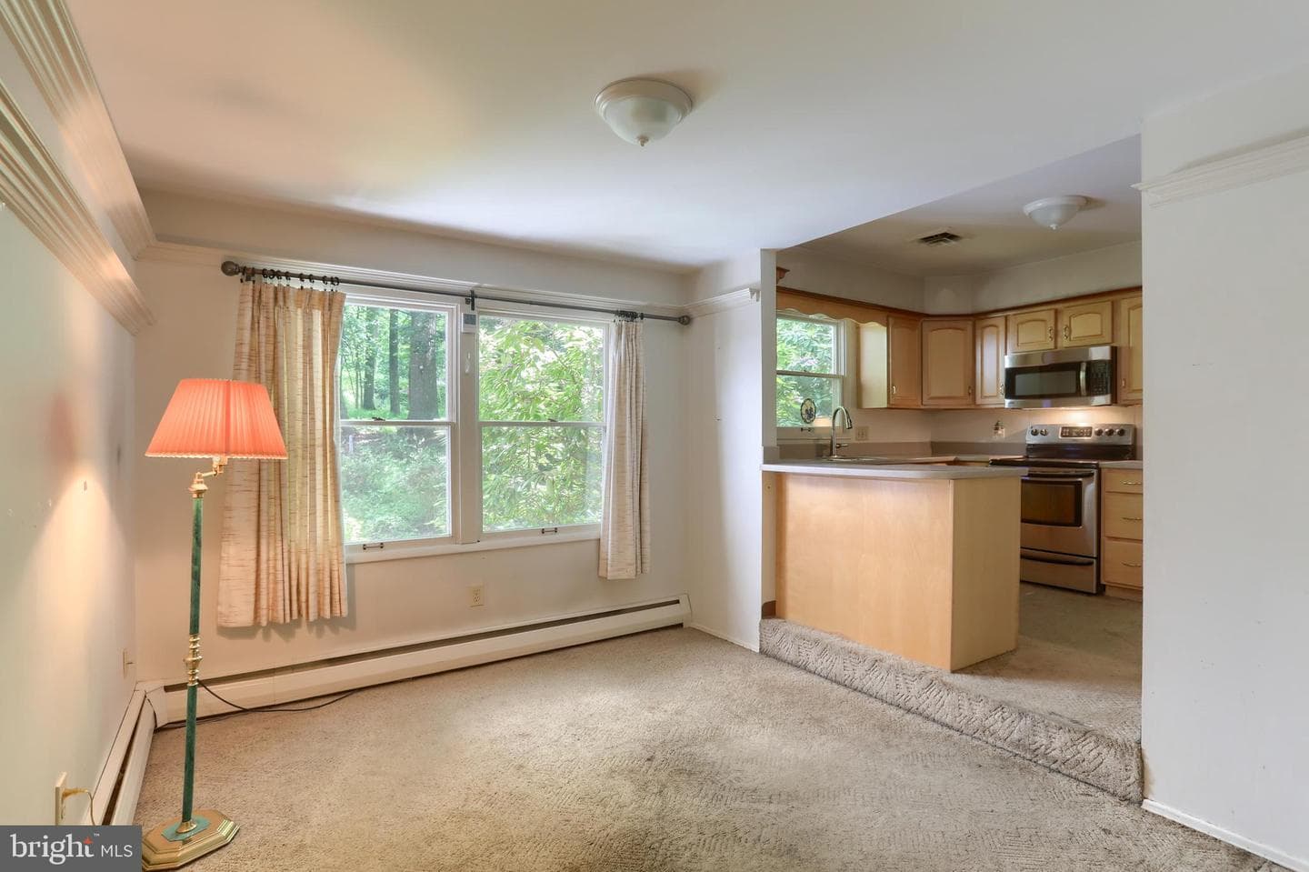 36 Brownstone Drive photo 15