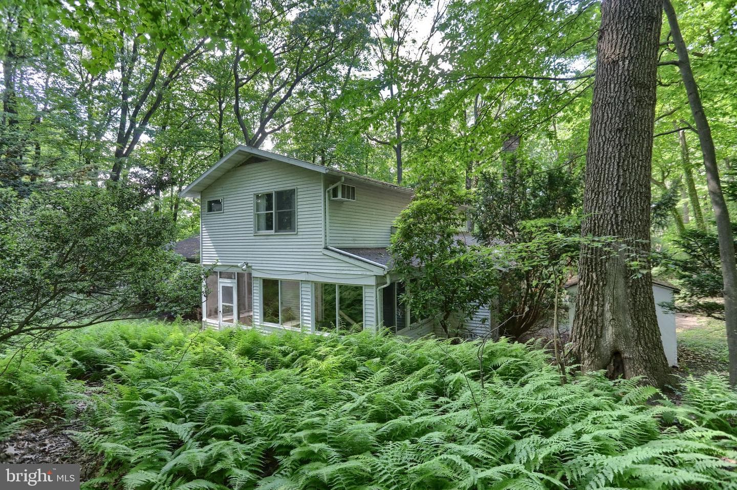 36 Brownstone Drive photo 7