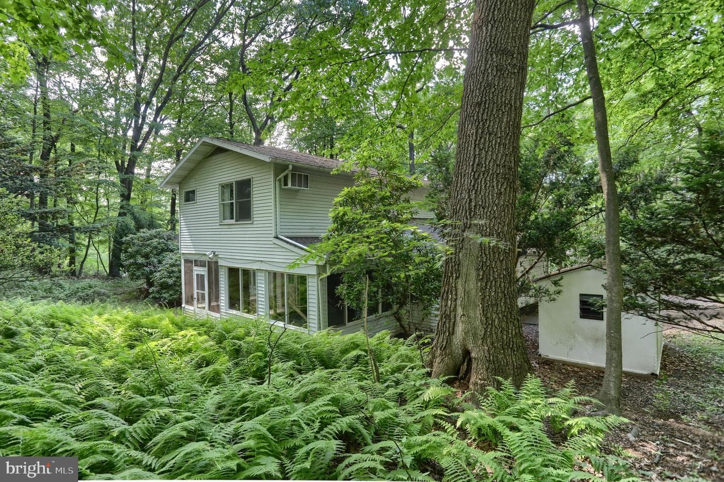 36 Brownstone Drive photo 8