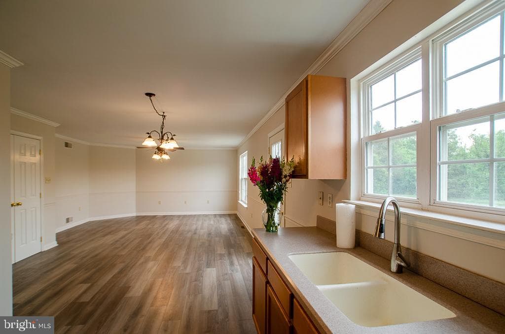 107 Peregrine Lane photo 10