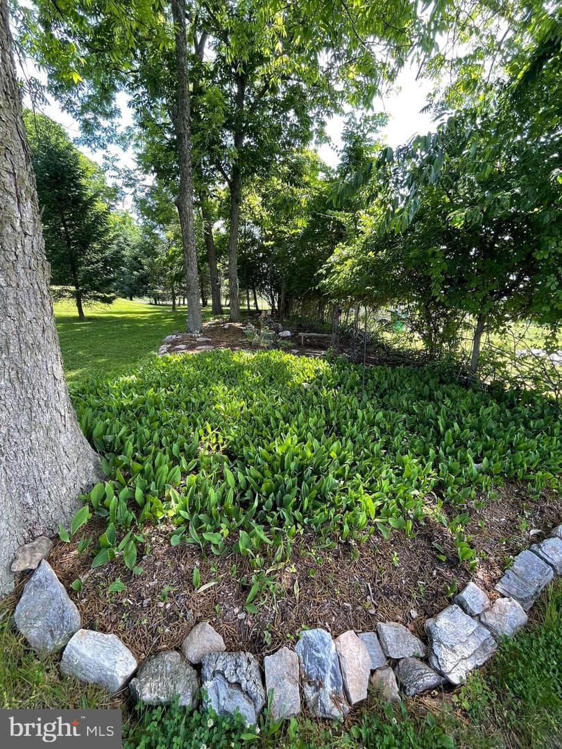 1080 Swatara Road photo 55