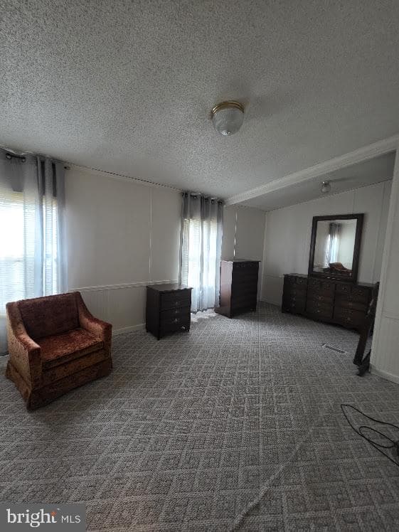 49 Meadow Run Place photo 11