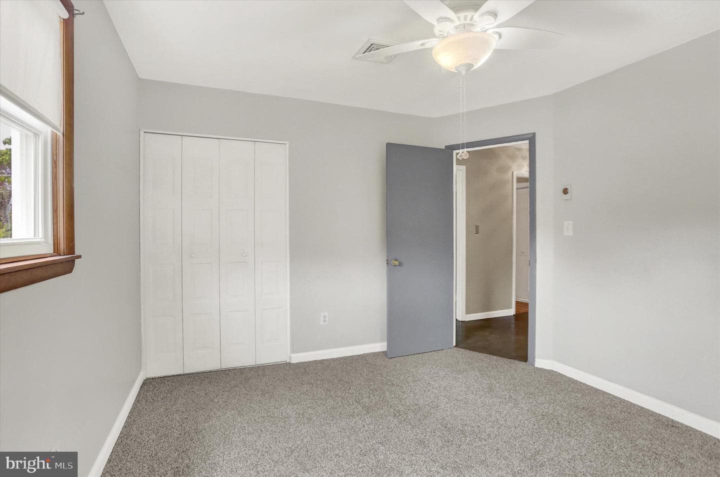 199 Delmont Avenue photo 23