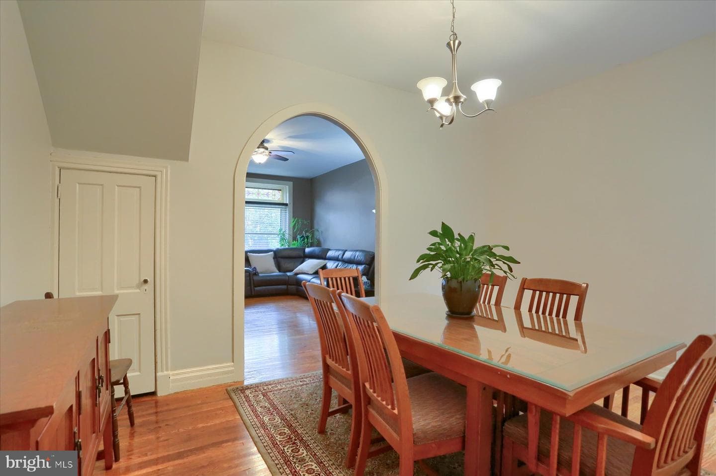 233 Hamilton Street photo 8