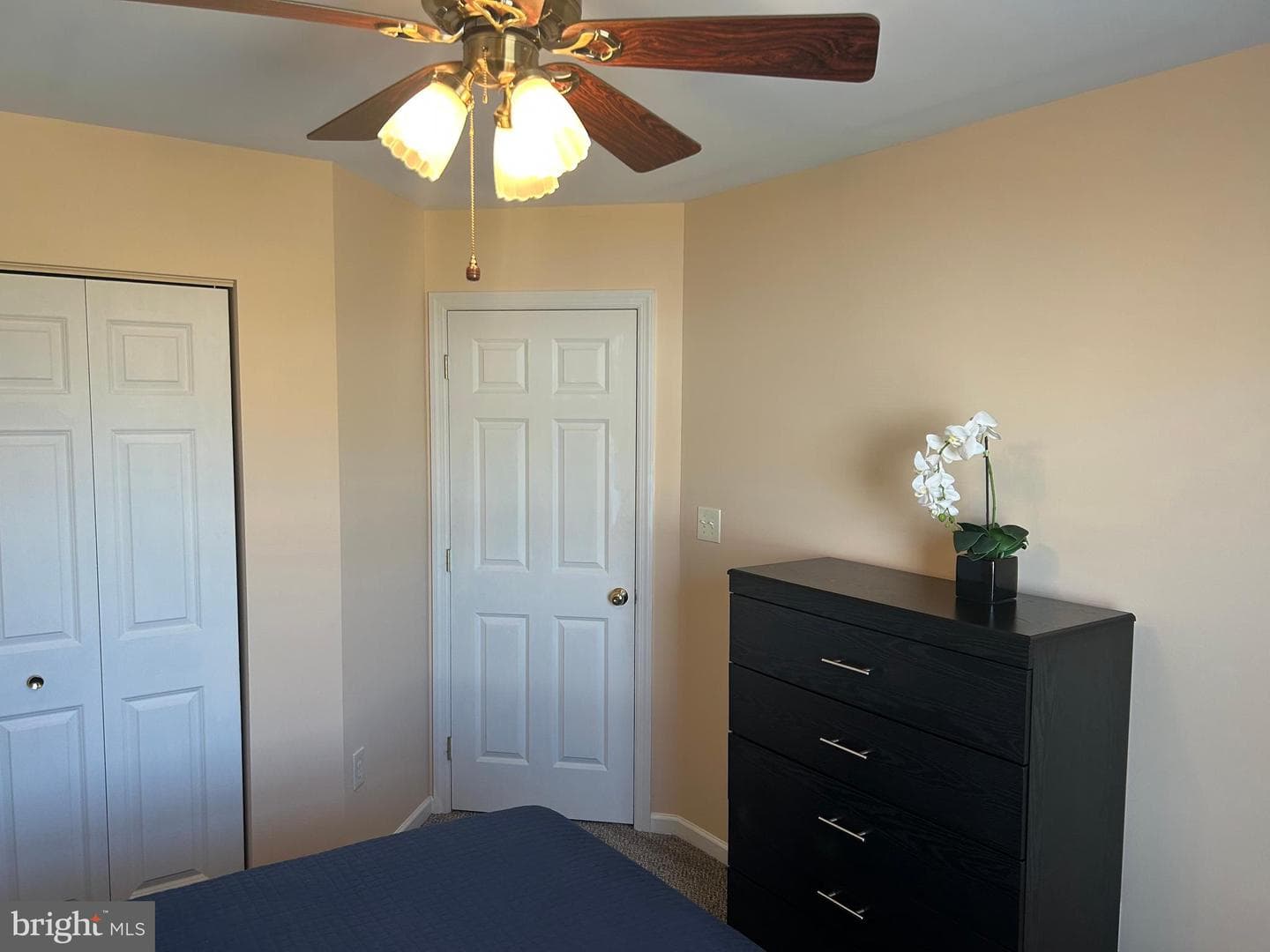 270 Buckley Drive photo 36