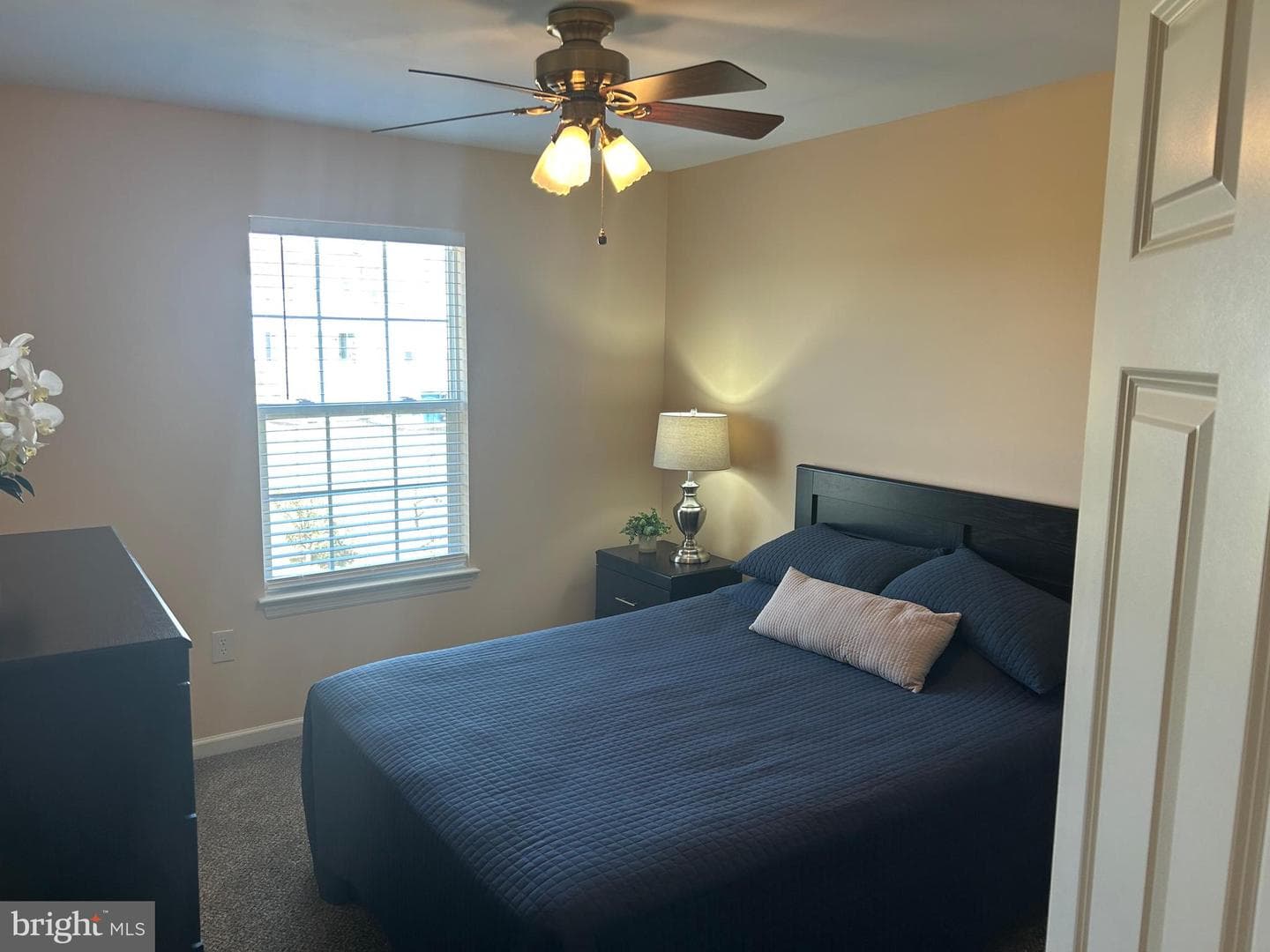 270 Buckley Drive photo 39